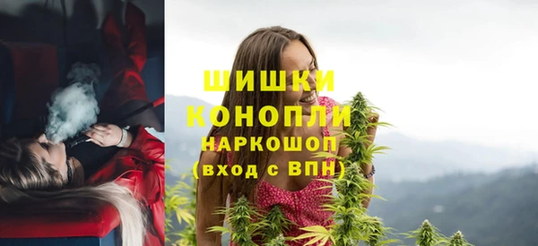 прущий лед Костерёво