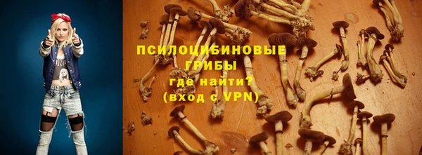 прущий лед Костерёво
